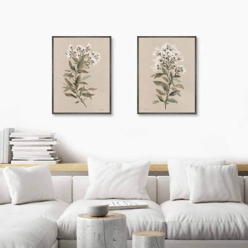 White Floral Stems Framed Canvas Prints, Set of 2