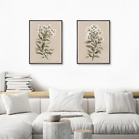 White Floral Stems Framed Canvas Prints, Set of 2