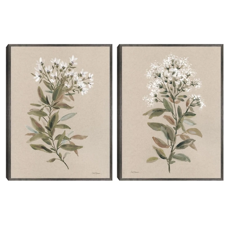 White Floral Stems Framed Canvas Prints, Set of 2