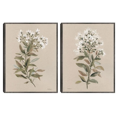 White Floral Stems Framed Canvas Prints, Set of 2