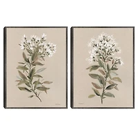 White Floral Stems Framed Canvas Prints, Set of 2