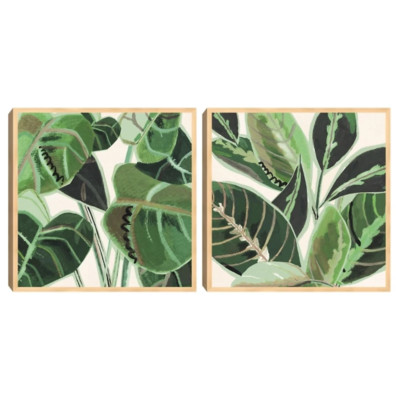 Jungle Close Up Framed Canvas Art Prints, Set of 2