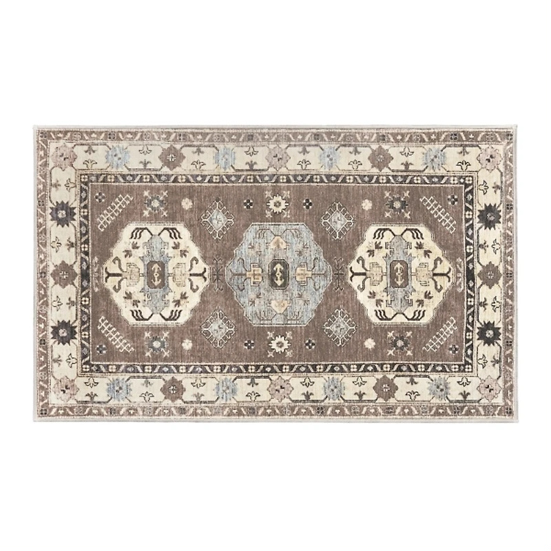 Coffee Shary Washable Area Rug, 3x5