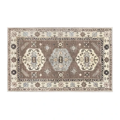 Coffee Shary Washable Area Rug, 3x5