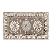 Coffee Shary Washable Area Rug, 3x5