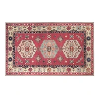 Coral Shary Washable Area Rug, 3x5