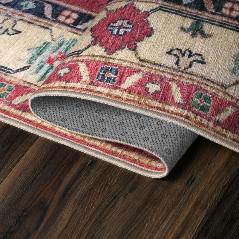 Washable Shary Coral Area Rug, 5x7