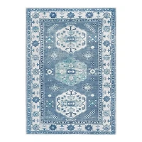 Washable Shary Blue Area Rug, 5x7