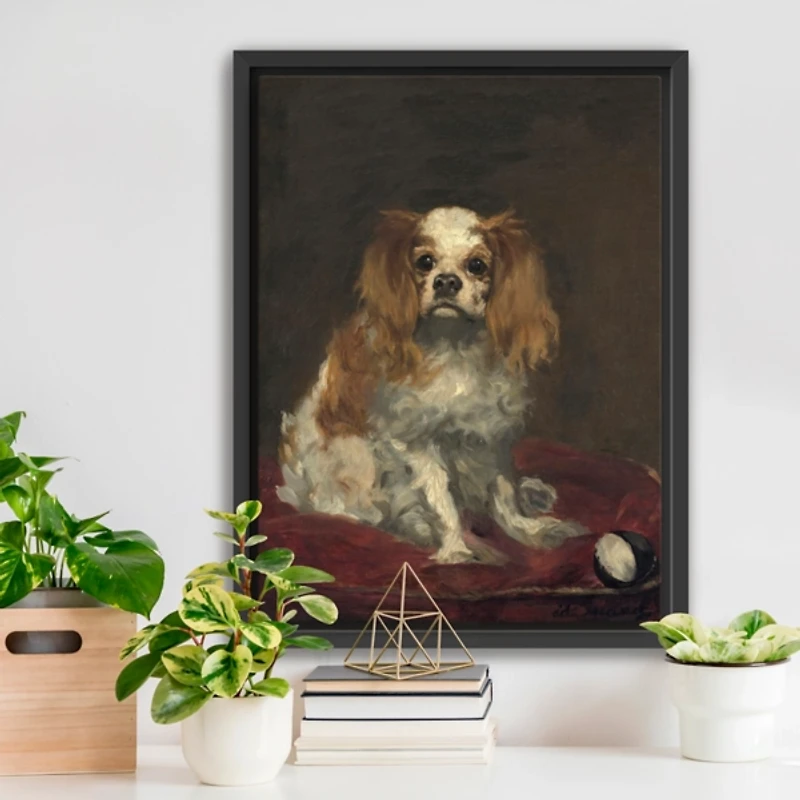 A King Charles Spaniel Framed Canvas Art Print