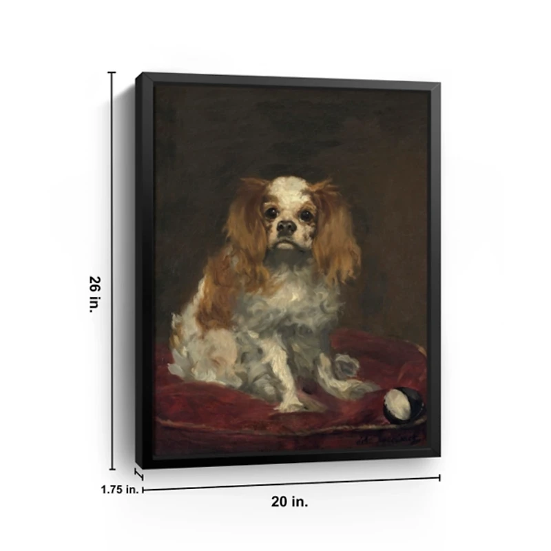 A King Charles Spaniel Framed Canvas Art Print