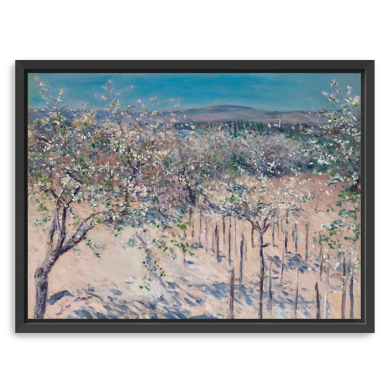 Apple Orchard in Bloom Canvas Art Print, 26x20 in.