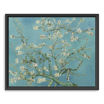 Almond Blossom Framed Canvas Art Print