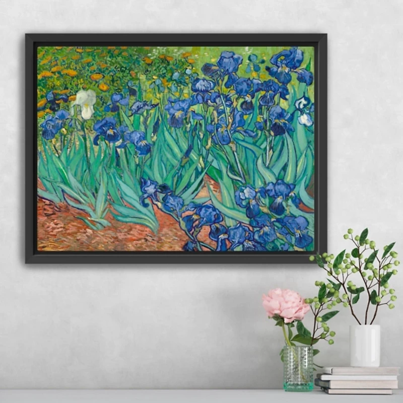 Irises Framed Canvas Art Print