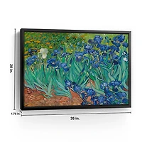 Irises Framed Canvas Art Print