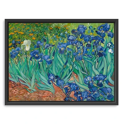 Irises Framed Canvas Art Print