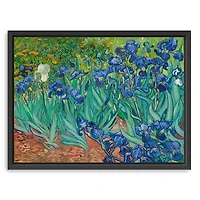 Irises Framed Canvas Art Print