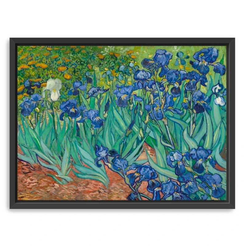 Irises Framed Canvas Art Print, 42x32 in.