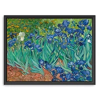 Irises Framed Canvas Art Print, 42x32 in.