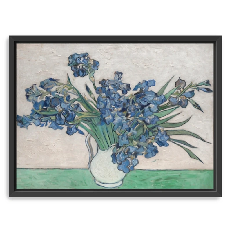 Irises II Framed Canvas Art Print, 42x32 in.