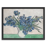 Irises II Framed Canvas Art Print, 42x32 in.
