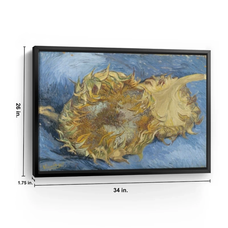 Two Cut Sunflowers Framed Canvas Art Print