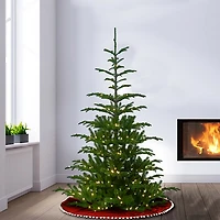 6.5 ft. Pre-Lit Feel Real Norwegian Christmas Tree