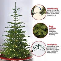 6.5 ft. Pre-Lit Feel Real Norwegian Christmas Tree