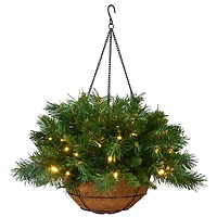 Pre-Lit Tiffany Fir Christmas Hanging Basket