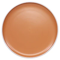 Terracotta Stoneware 16-pc. Dinnerware Set