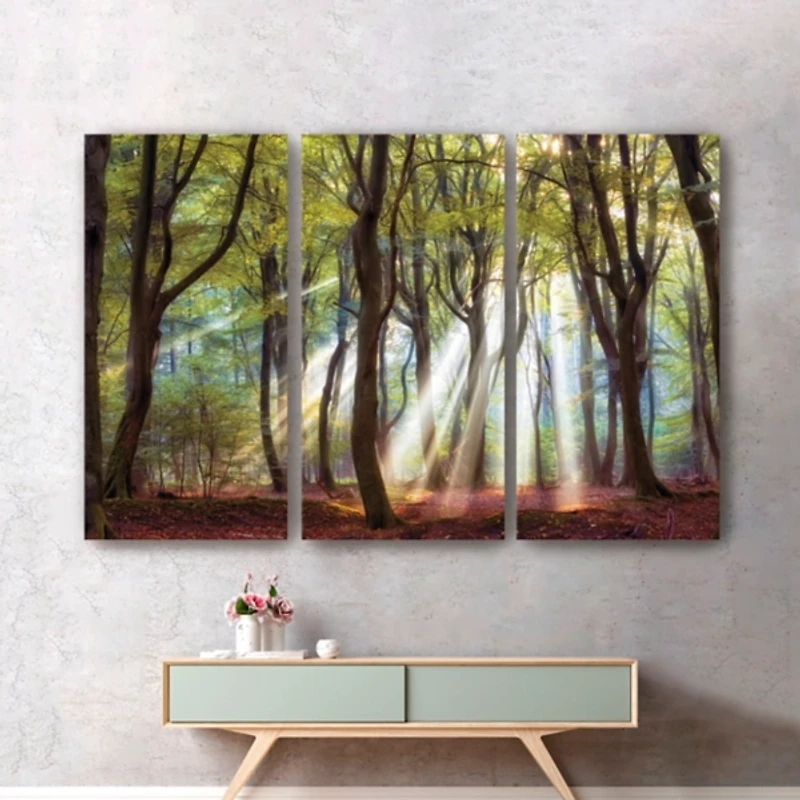 Majestic Morning Canvas Art Prints, Set of 3