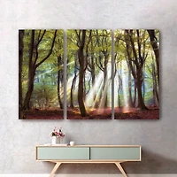 Majestic Morning Canvas Art Prints, Set of 3