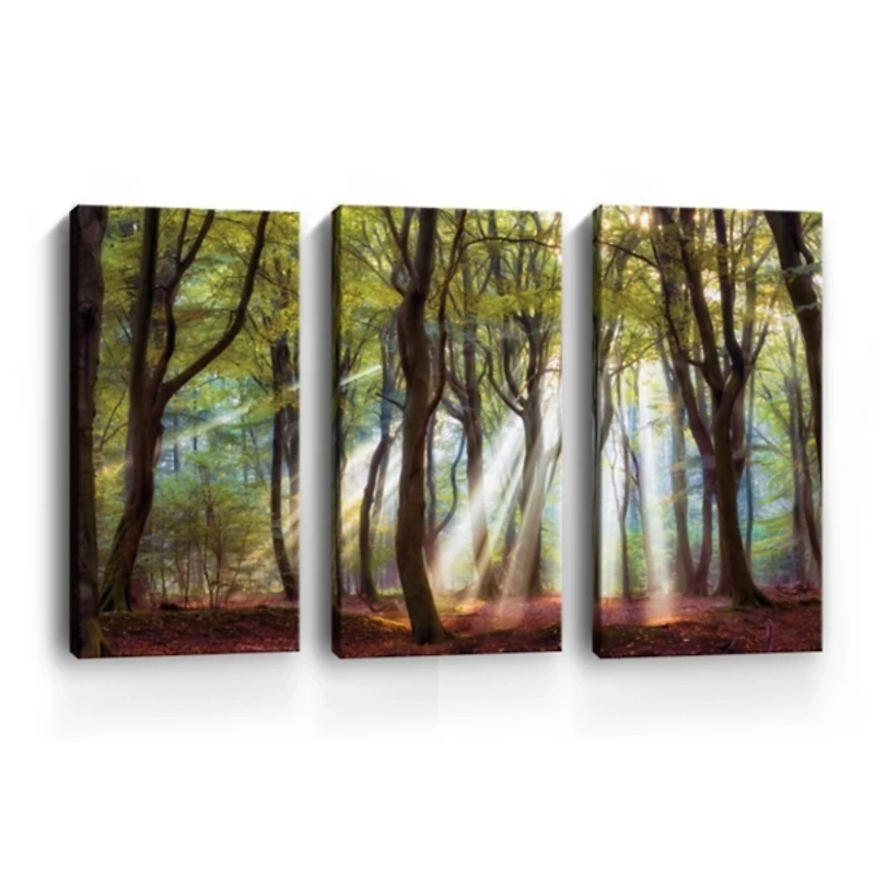 Majestic Morning Canvas Art Prints, Set of 3