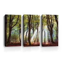 Majestic Morning Canvas Art Prints, Set of 3