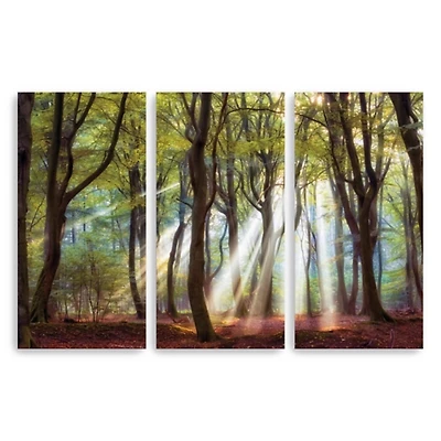 Majestic Morning Canvas Art Prints, Set of 3