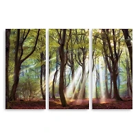 Majestic Morning Canvas Art Prints, Set of 3
