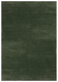 Solid Green Revive Area Rug, 8x10