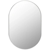 Aranya Metallic Silver Oval Wall Mirror