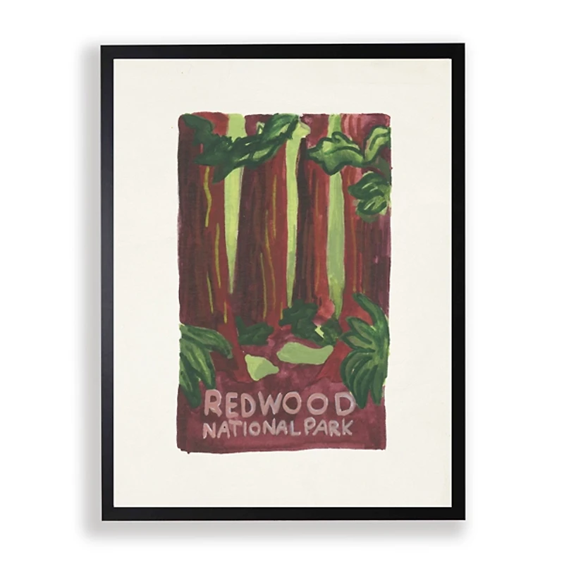 Redwood National Park Framed Art Print