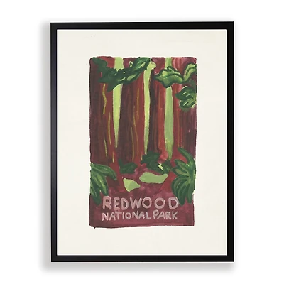 Redwood National Park Framed Art Print
