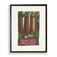Redwood National Park Framed Art Print