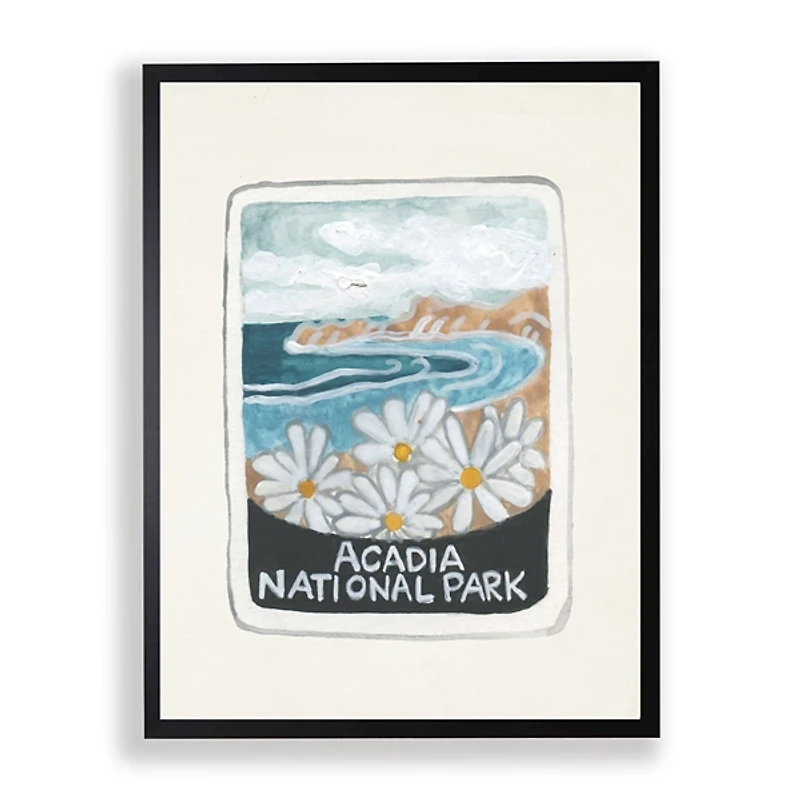 Acadia National Park Framed Art Print