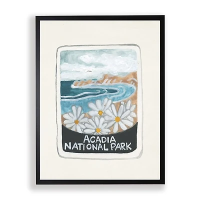 Acadia National Park Framed Art Print