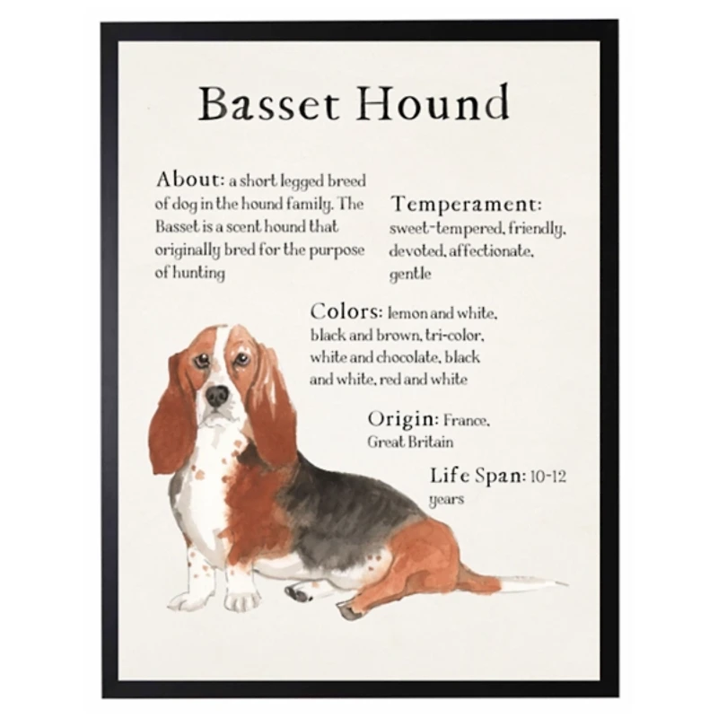 Basset Hound Facts Framed Wall Plaque