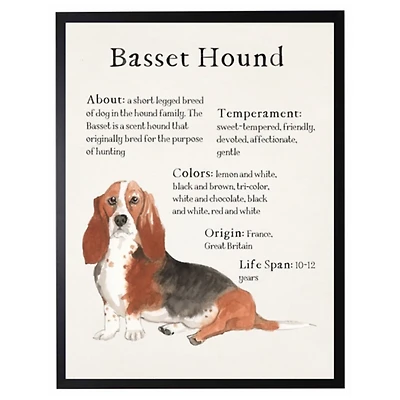 Basset Hound Facts Framed Wall Plaque