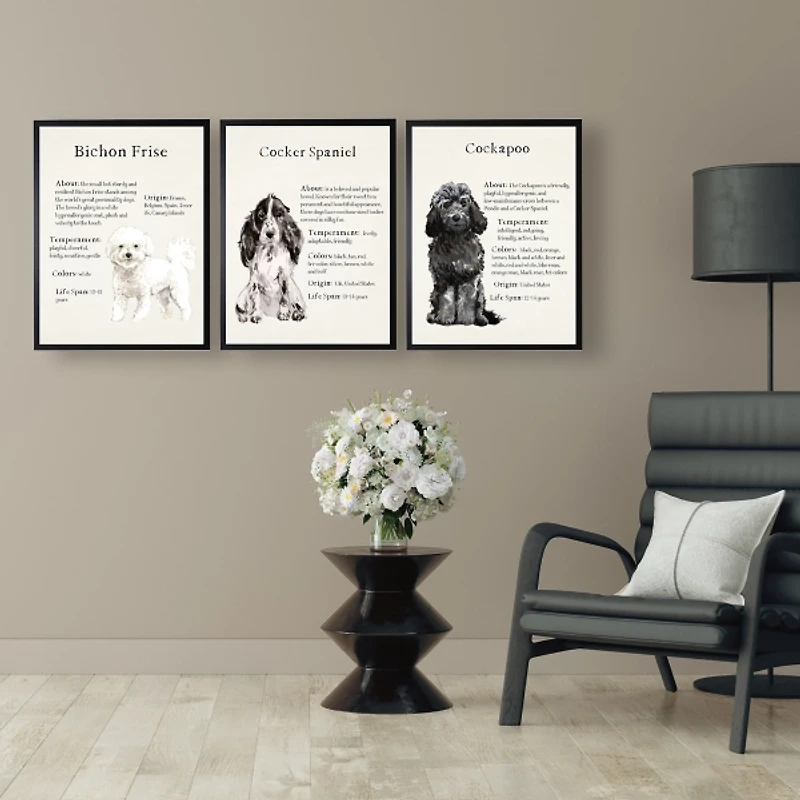 Bichon Frise Facts Framed Wall Plaque