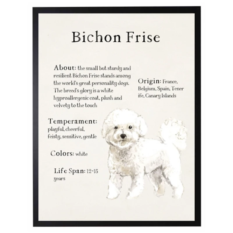 Bichon Frise Facts Framed Wall Plaque