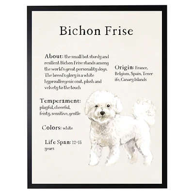 Bichon Frise Facts Framed Wall Plaque
