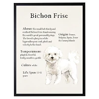 Bichon Frise Facts Framed Wall Plaque