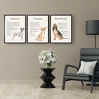 Bloodhound Facts Framed Wall Plaque