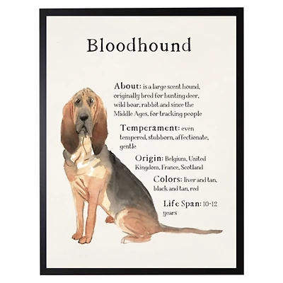 Bloodhound Facts Framed Wall Plaque